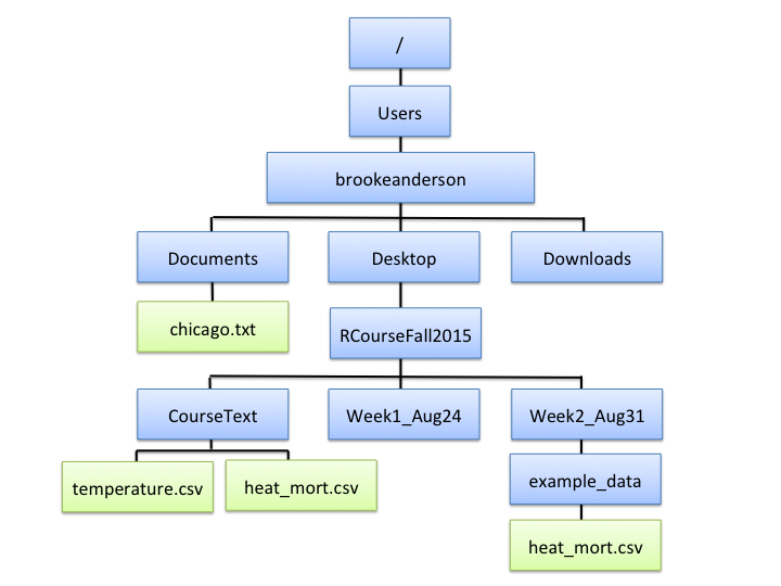 An example of file directory structure.