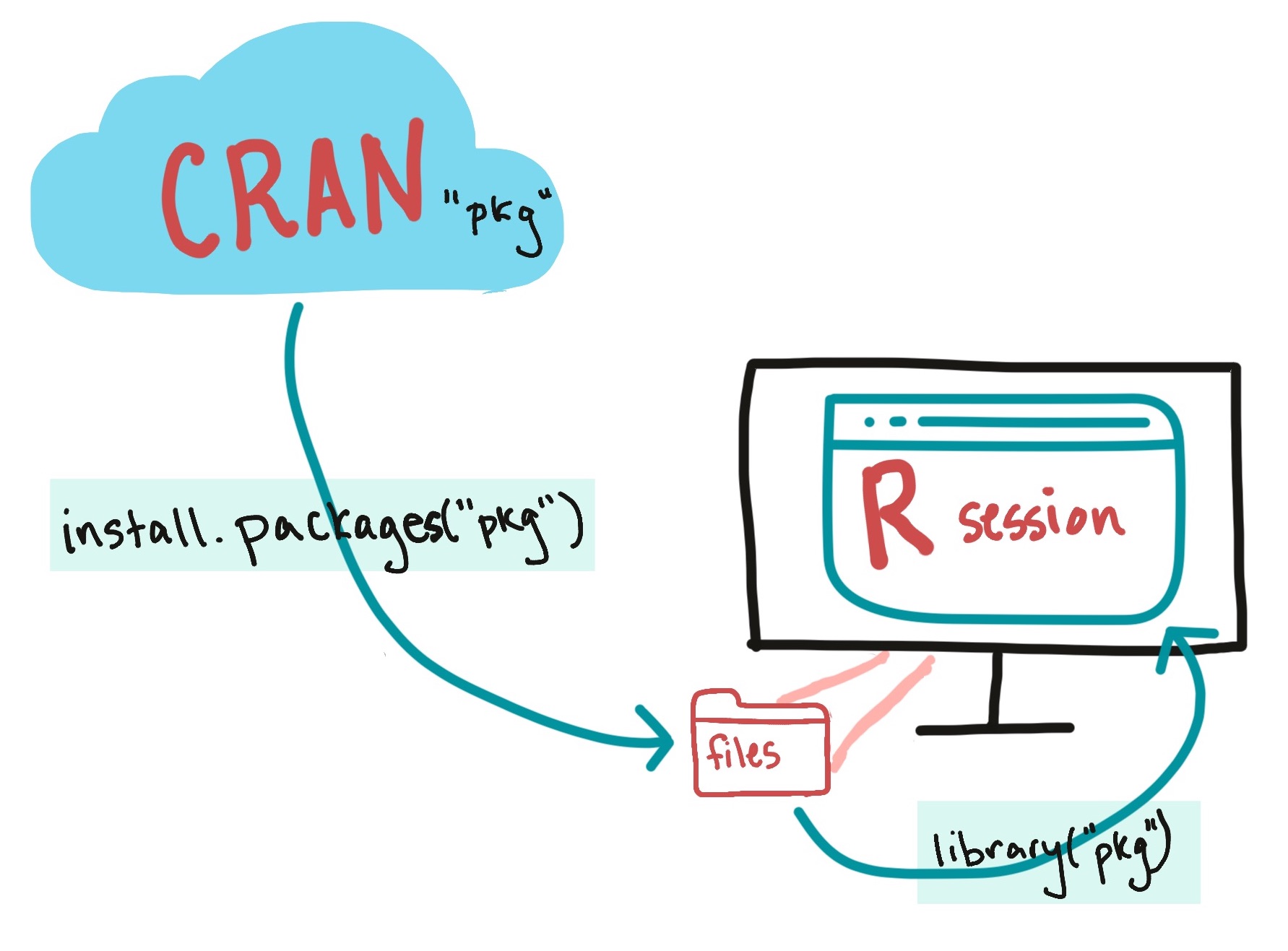 Install a package (with `install.packages()`) to get it onto your computer. Load it (with `library()`) to get it into your R session.