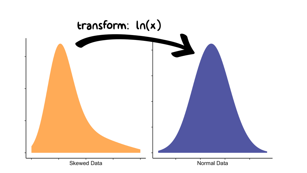 The log(x) transform is often used to reduce skewness in a variable.